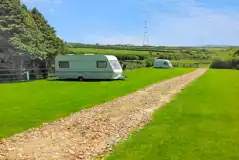 Electric grass pitches