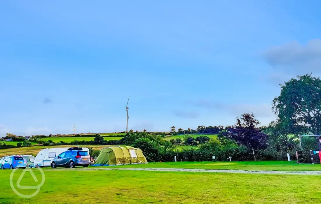 Electric grass pitches