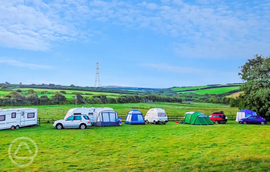 Non electric grass pitches