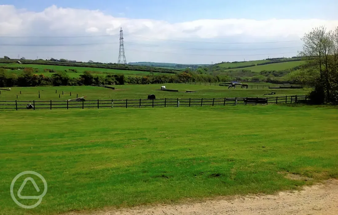 Non electric grass pitches