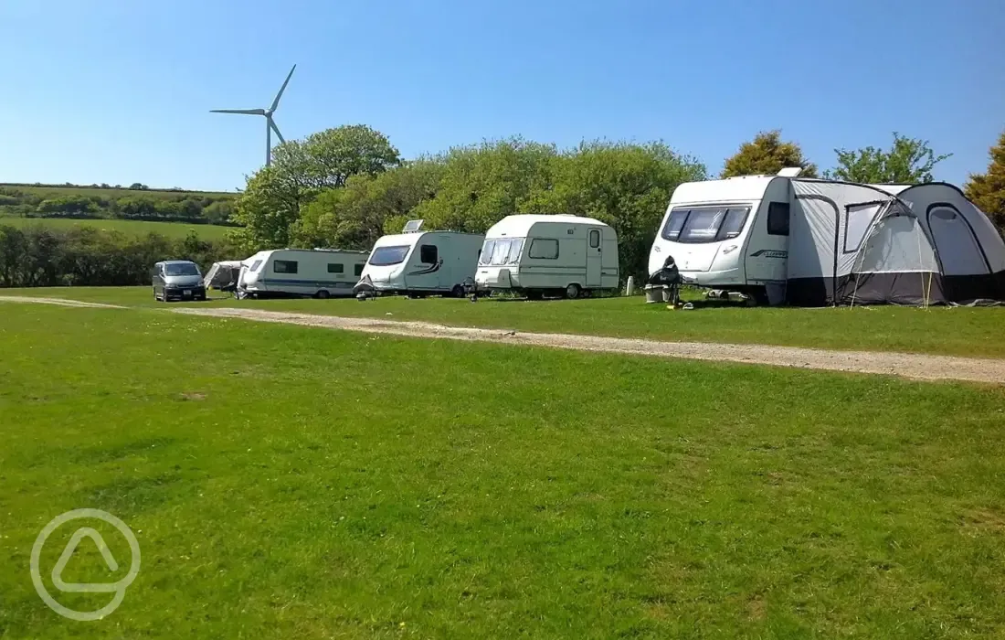 Electric grass pitches