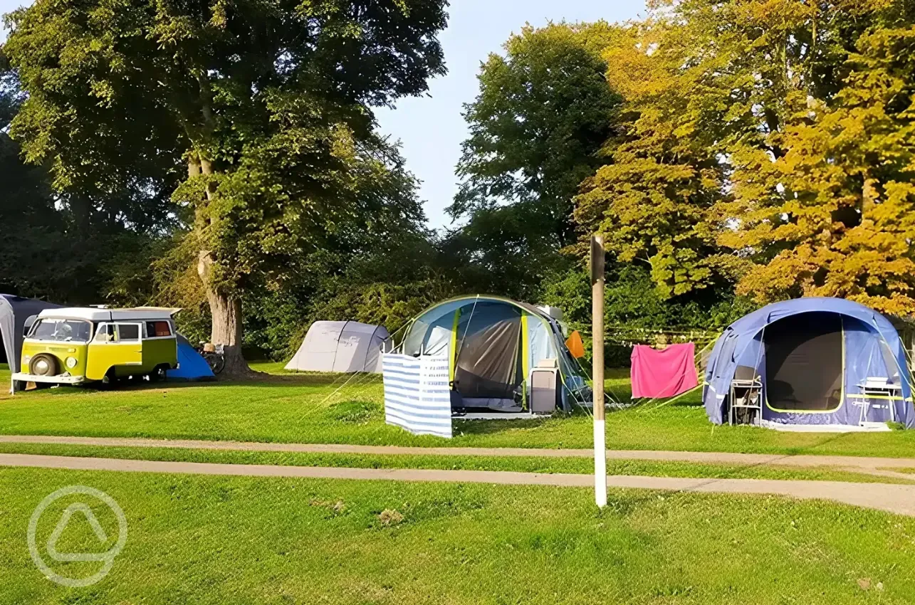 Large tents and a VW campervan on the pitches at Laleham Camping Club