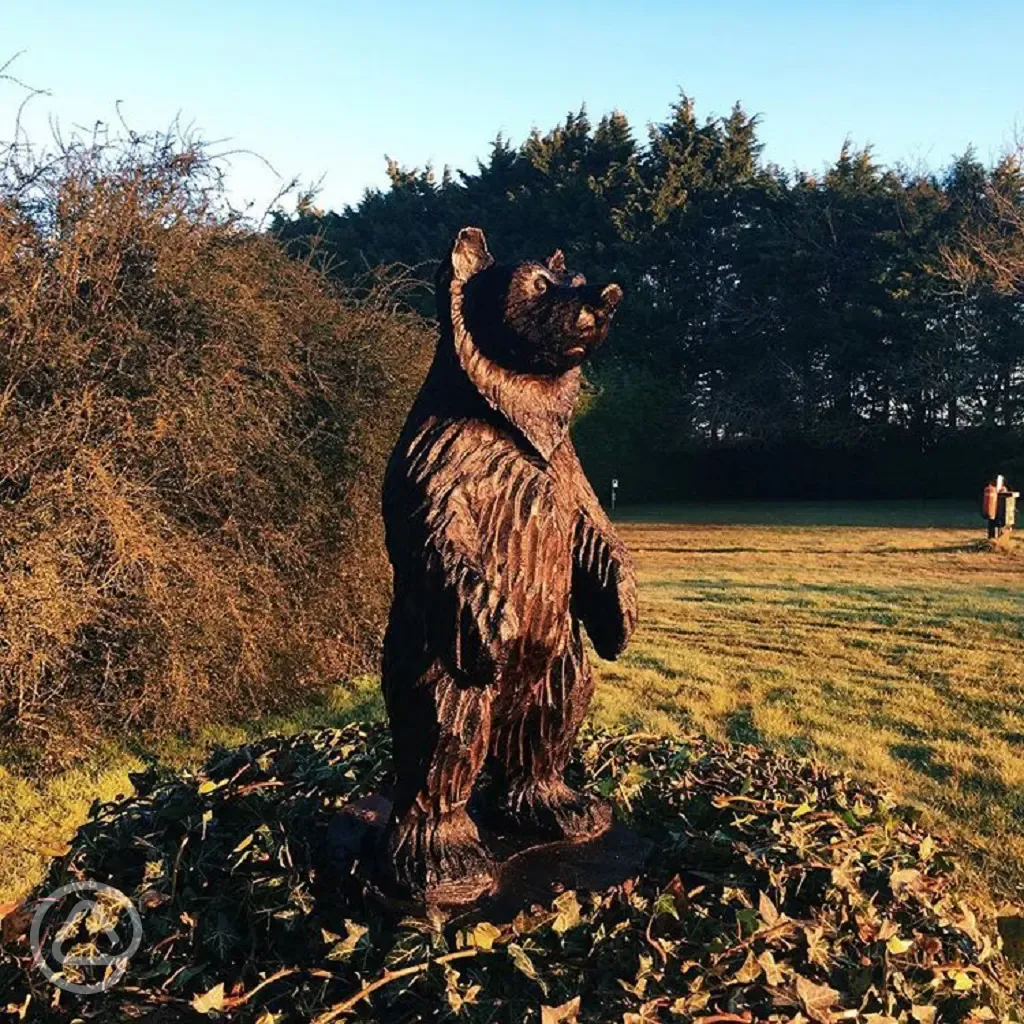 Pitches and bear mascot at Larkfield Certificated Location