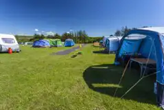 Electric grass pitches with 10amp electric 