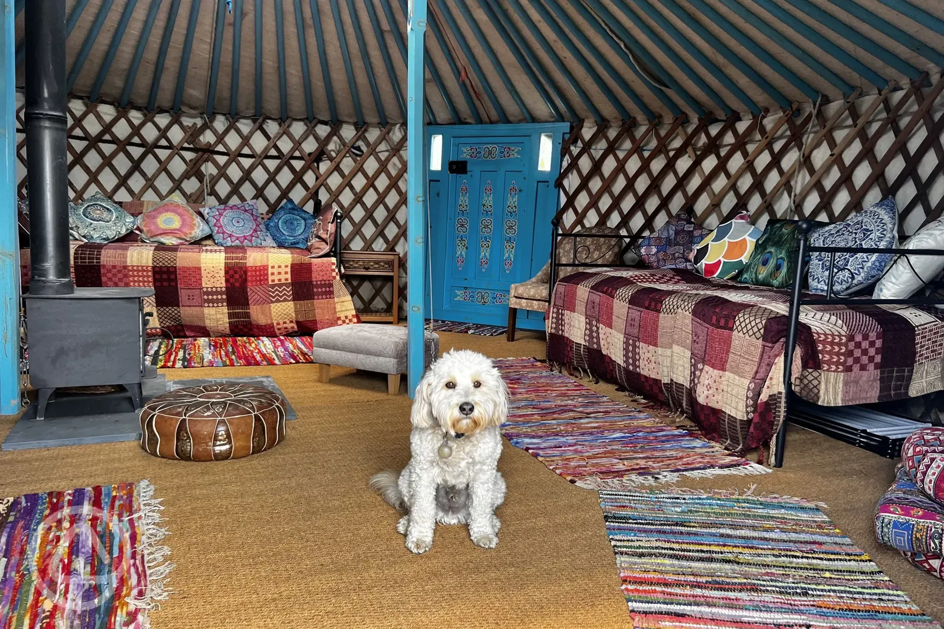 Dog friendly yurt