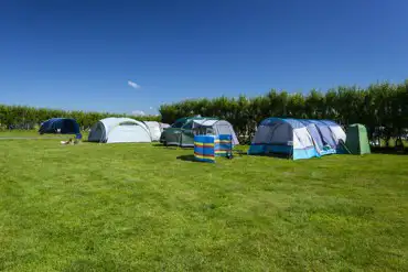 Non electric grass pitches surrounded by hedges