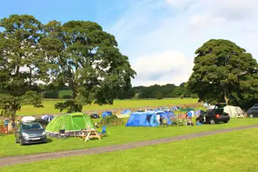 Range of grass pitches, some with 10 amp electric hook ups