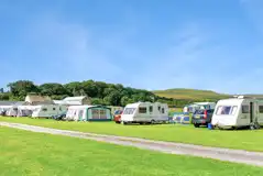 Electric grass pitches with 10 amp hook ups (7m x 7m)