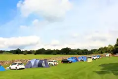 Grass pitches (some with 10 amp electric hook ups)