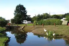 Pond view hardstanding pitches next to neighboring ducks