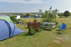 Non electric grass pitches 