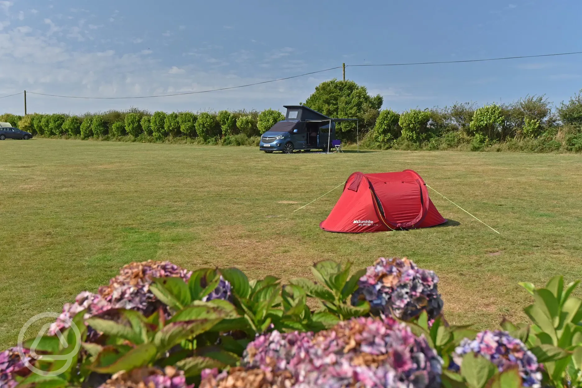 Non electric grass backpacker pitches