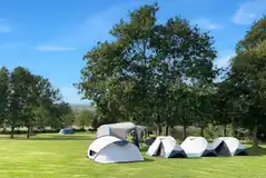 Non electric grass pitches for tents only Non electric grass pitches for tents only