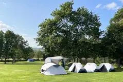 Non electric grass pitches for tents only