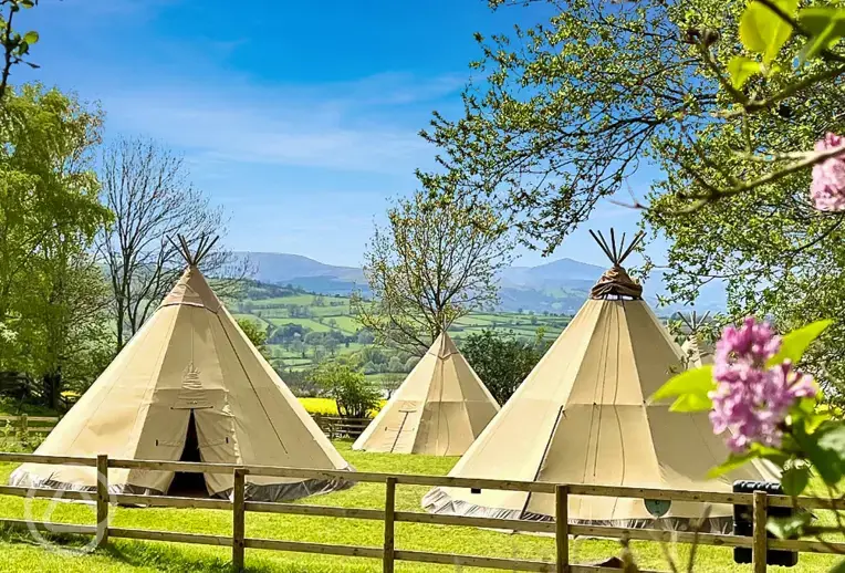 Giant tipis (five person)