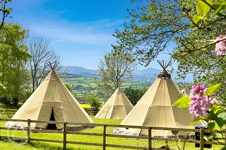 Giant tipis (five person)