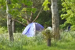 Non electric grass pitches (unmarked) Non electric grass pitches (unmarked)