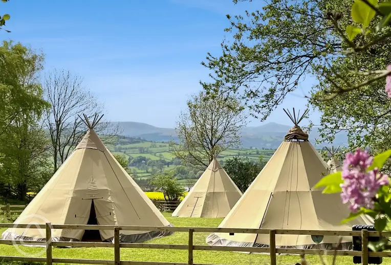 Giant tipis (five person)