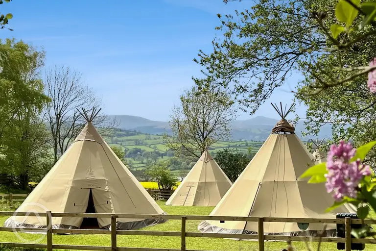 Giant tipis (five person)