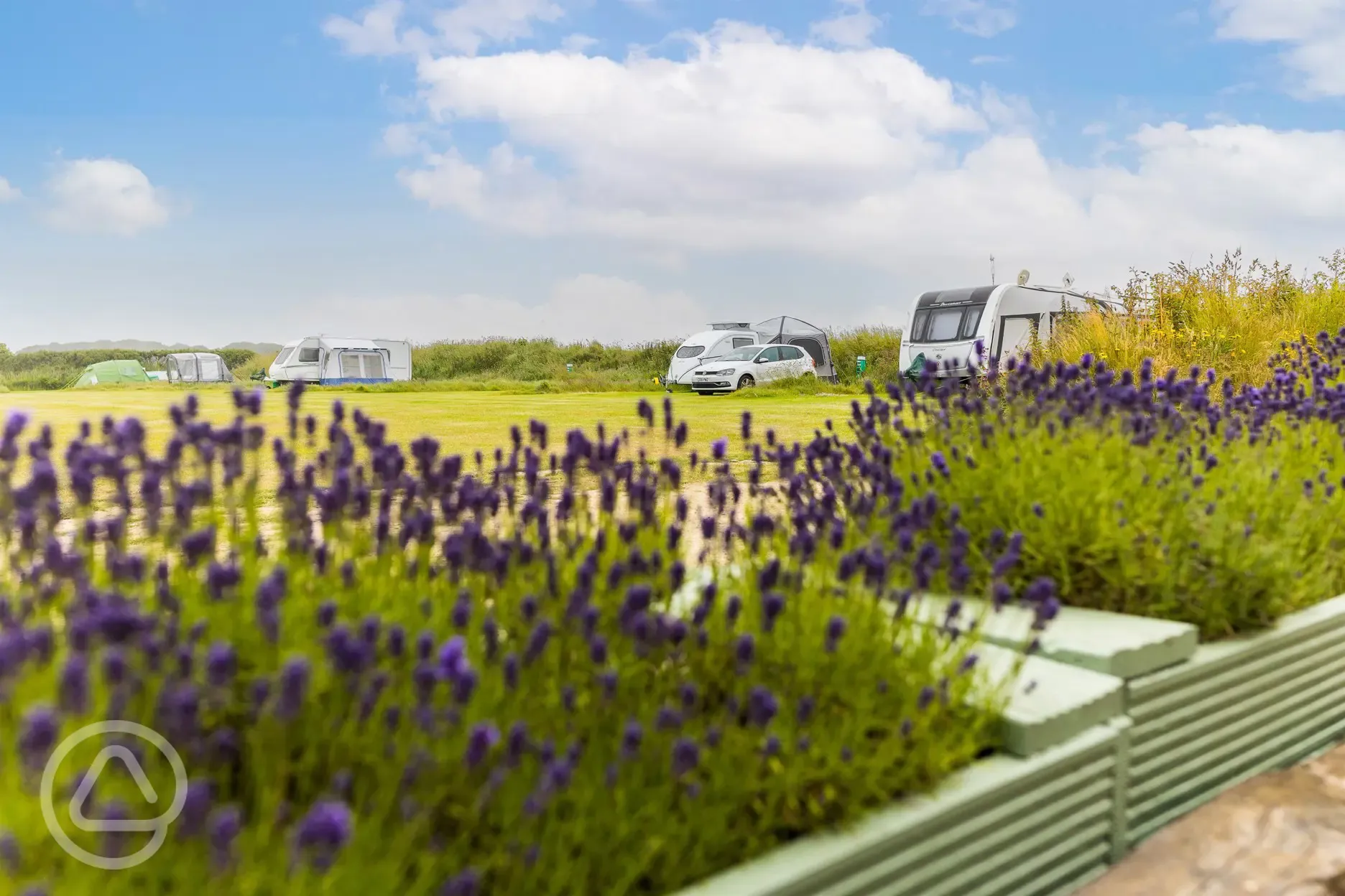 Electric and non electric grass pitches at Llanungar Caravan and Camping