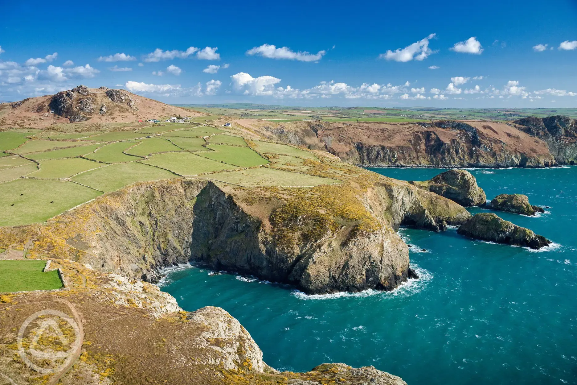 Pembrokeshire Coastline (ten minute drive away)