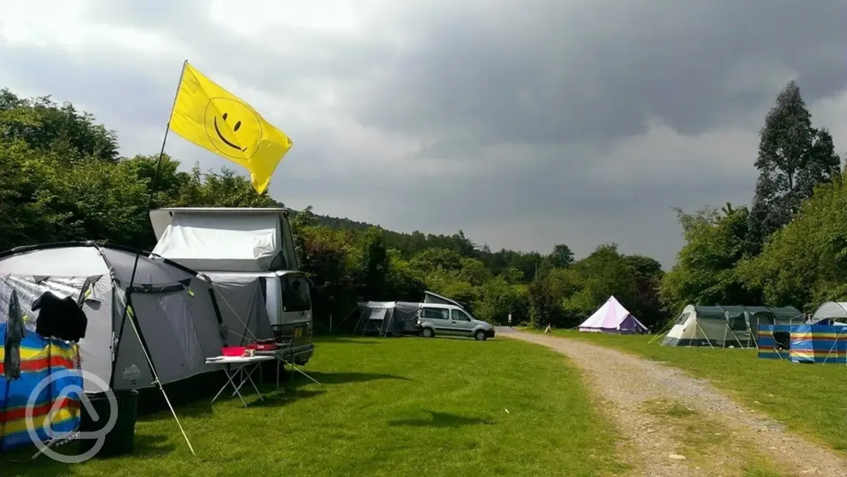 Llechrwd camping pitches