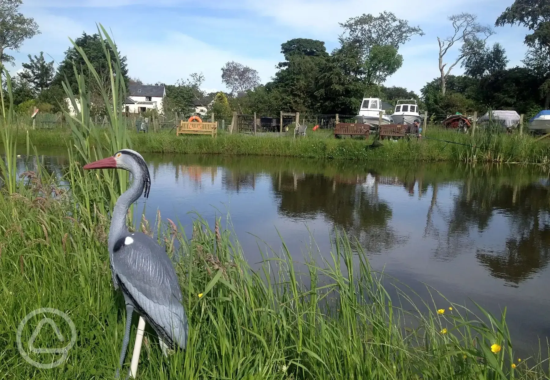 Heron by the lake at Llwyn Ffynnon Caravan Park