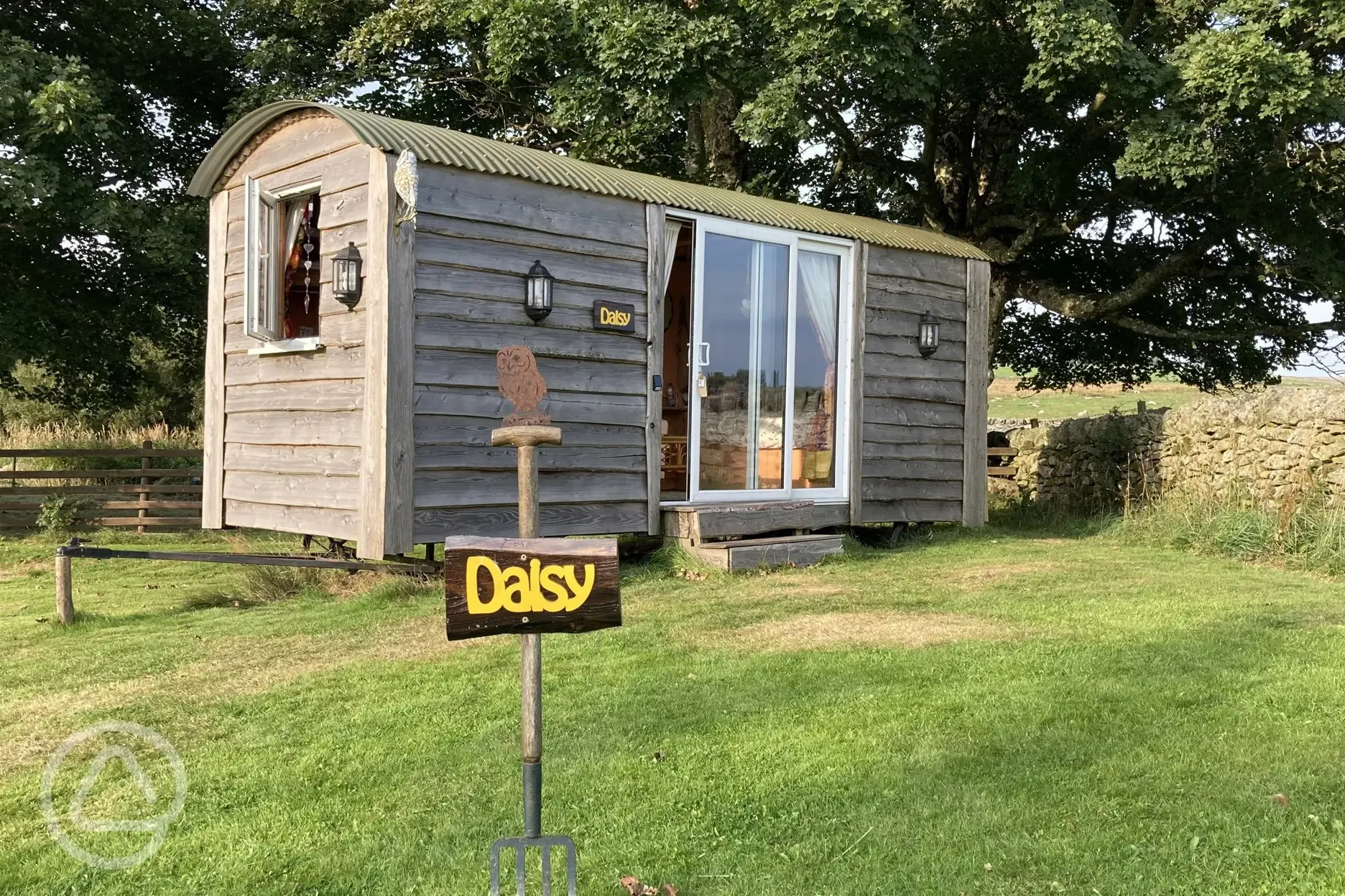 Daisy shepherd's hut