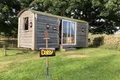 Daisy shepherd's hut