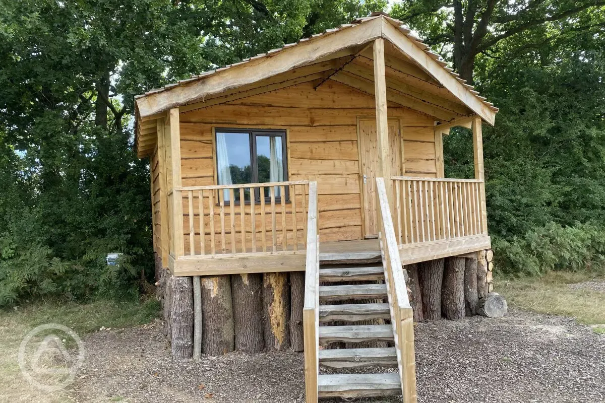 Tree House cabin