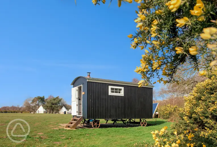 Shepherd's hut with small step access