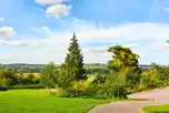 Views from site