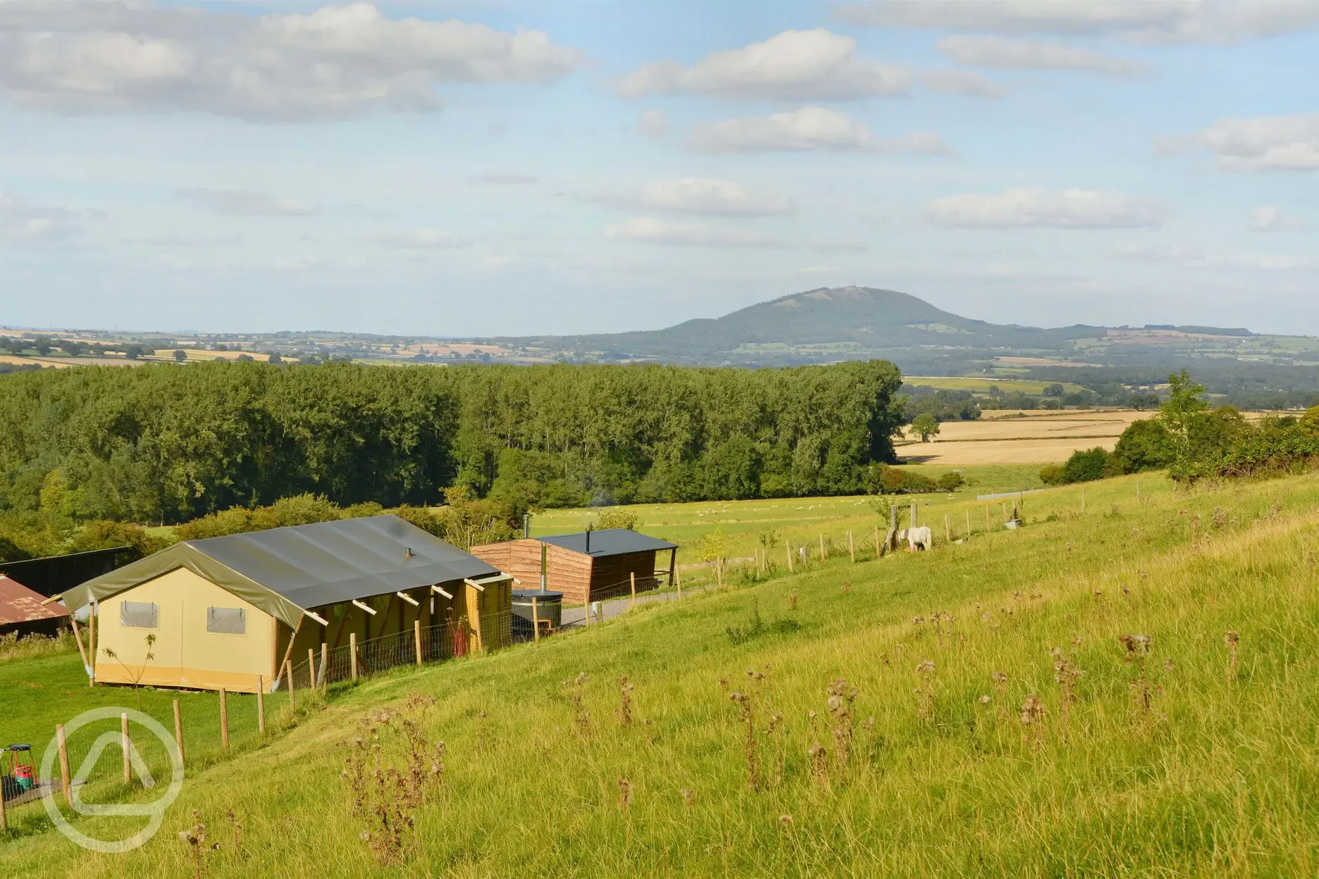 Safari tents