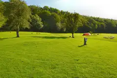 Grass tent pitches
