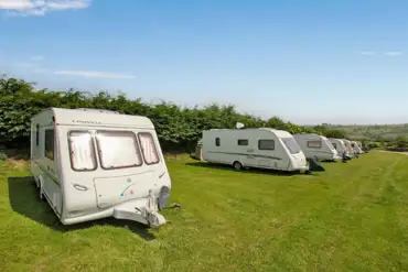 Electric grass pitches