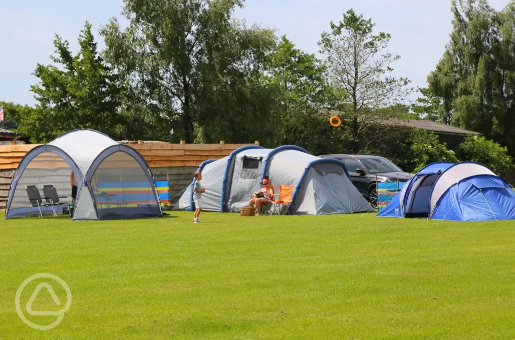 Grass pitches