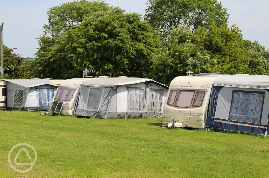 Electric grass pitches