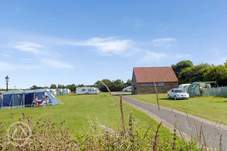 Electric grass pitches