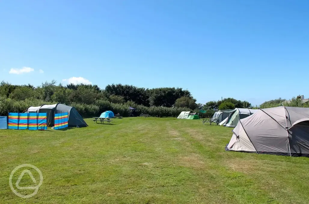 Non electric grass pitches