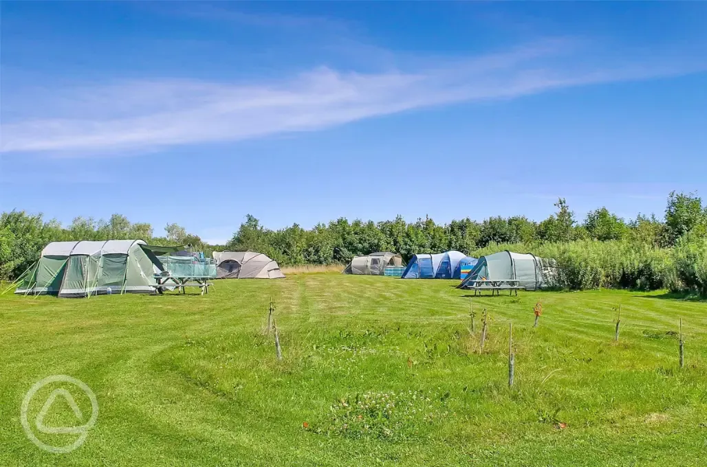 Non electric grass pitches