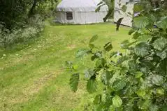 Yurts amongst the woods