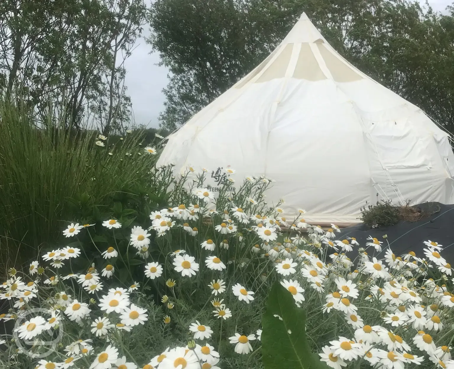 Bell tents