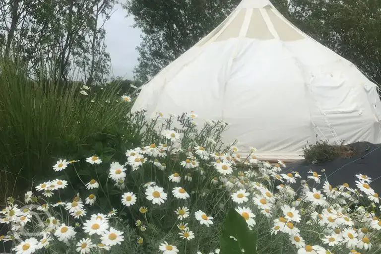 Bell tents