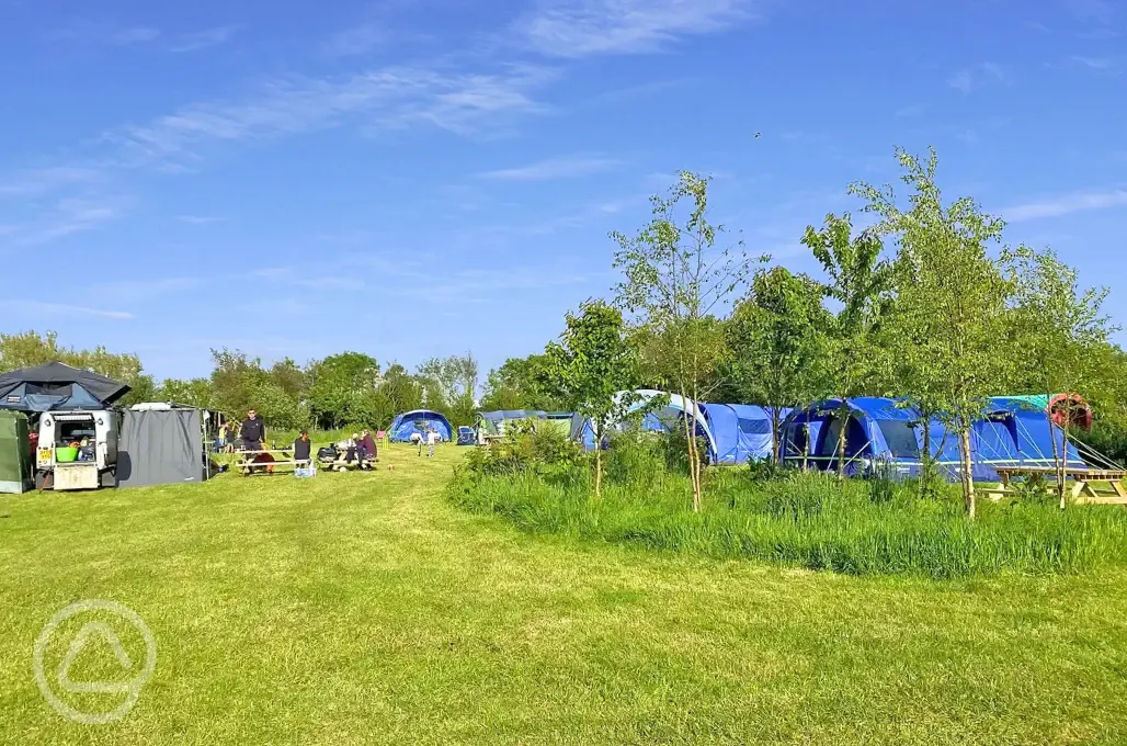 Non electric grass pitches