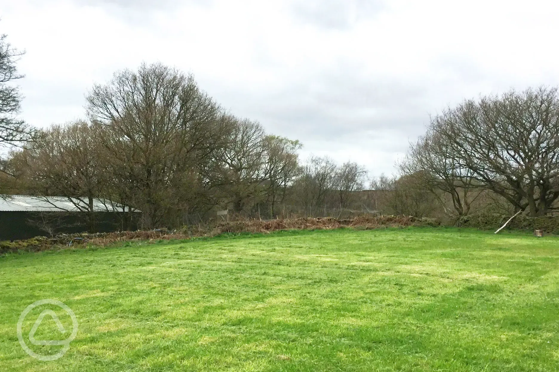 Tent camping area at Moorhay Caravan and Camping