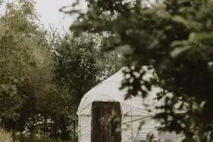 Mountain Cottage Yurts, Corfe Mullen, Dorset
