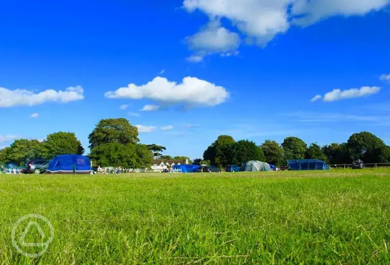 Non electric grass pitches