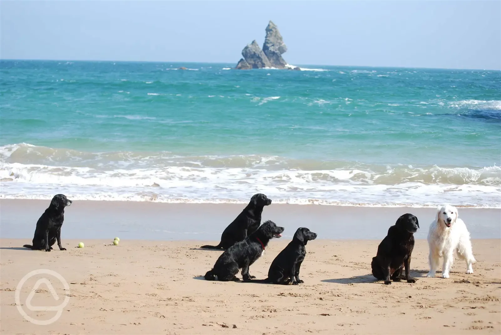 Dog friendly site and dog friendly beaches