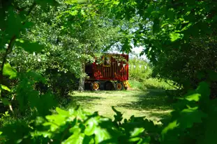 Nethergong Camping, Canterbury, Kent