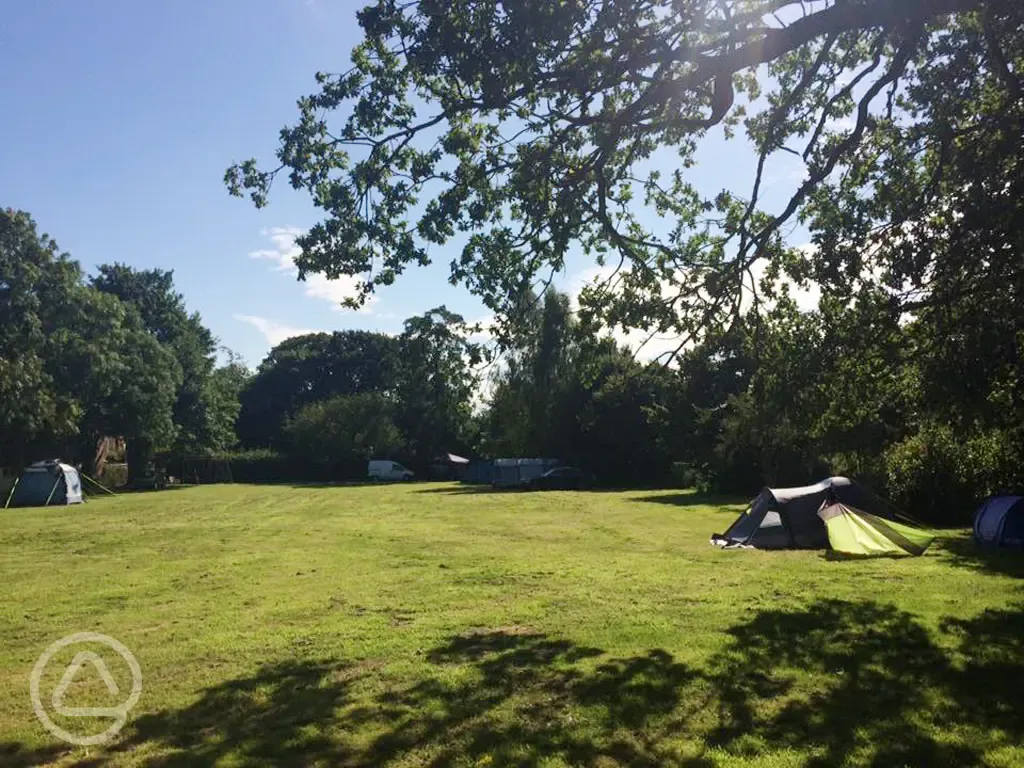 Tent camping at Netherwood